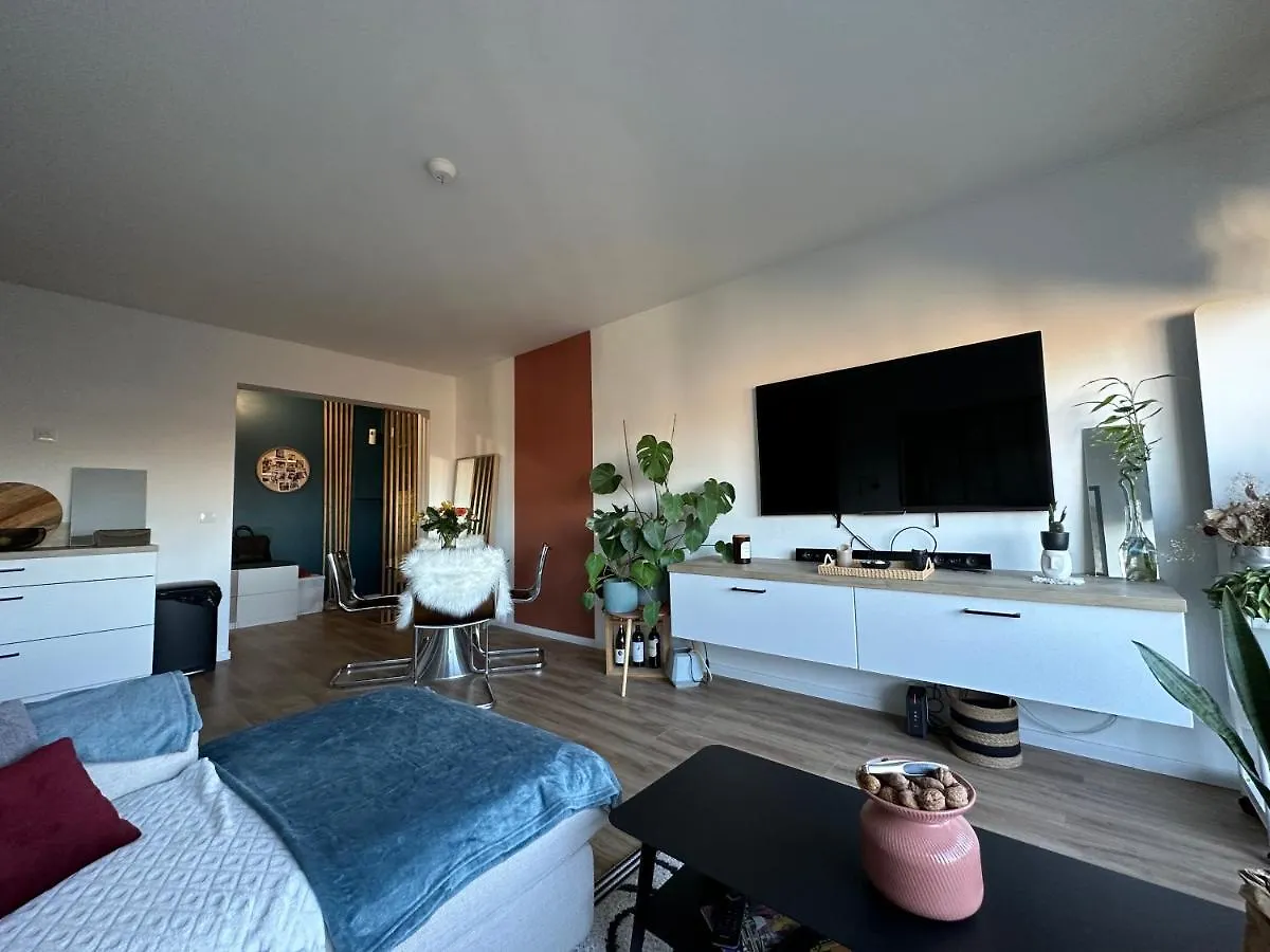 Lille Appart Cosy 68M2 Lumineux Avec Balcon - Garage Prive